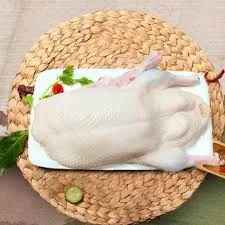 Fresh duck