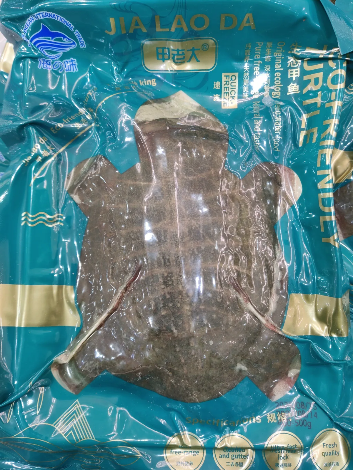 frozen turtle
