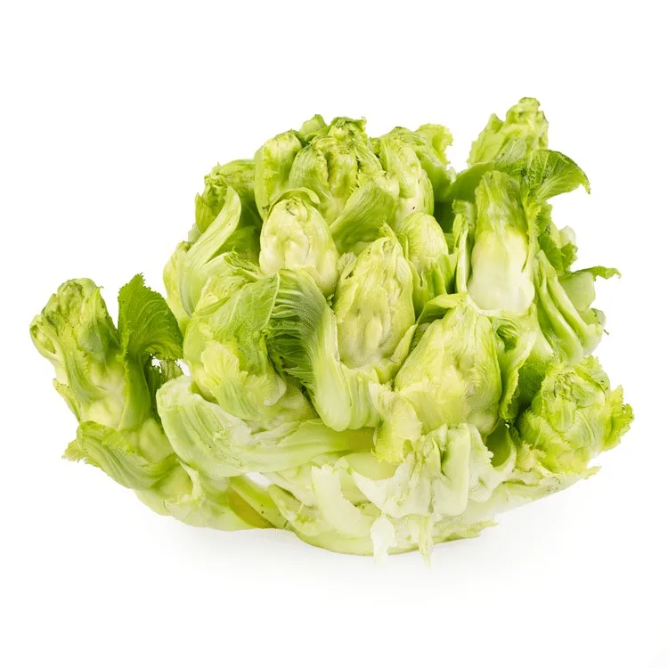 新鲜儿菜