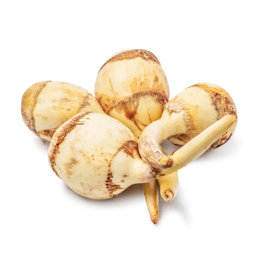 新鮮 茨菇