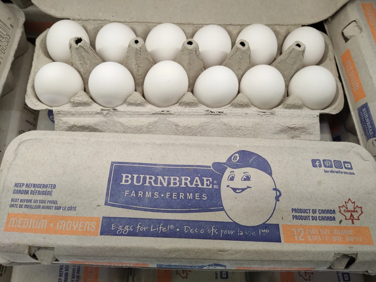 burnbrae white egg (medium)