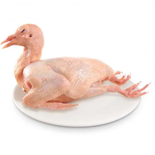 fresh squab