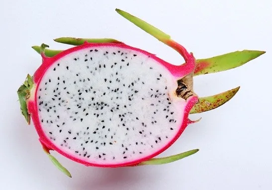 白肉火龍果