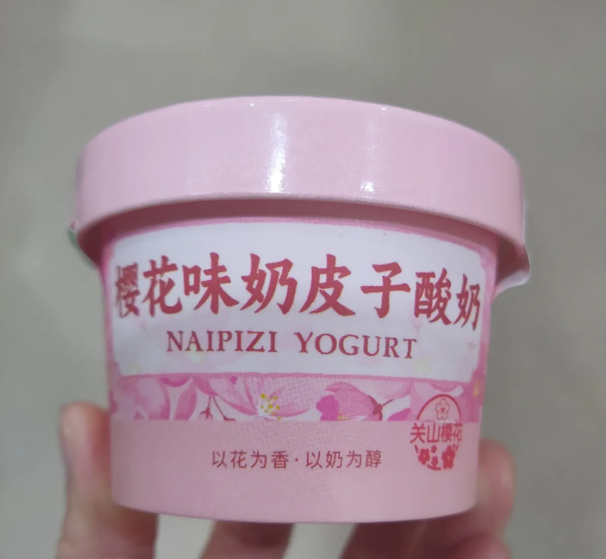 milk skin yogurt (Sakura)
