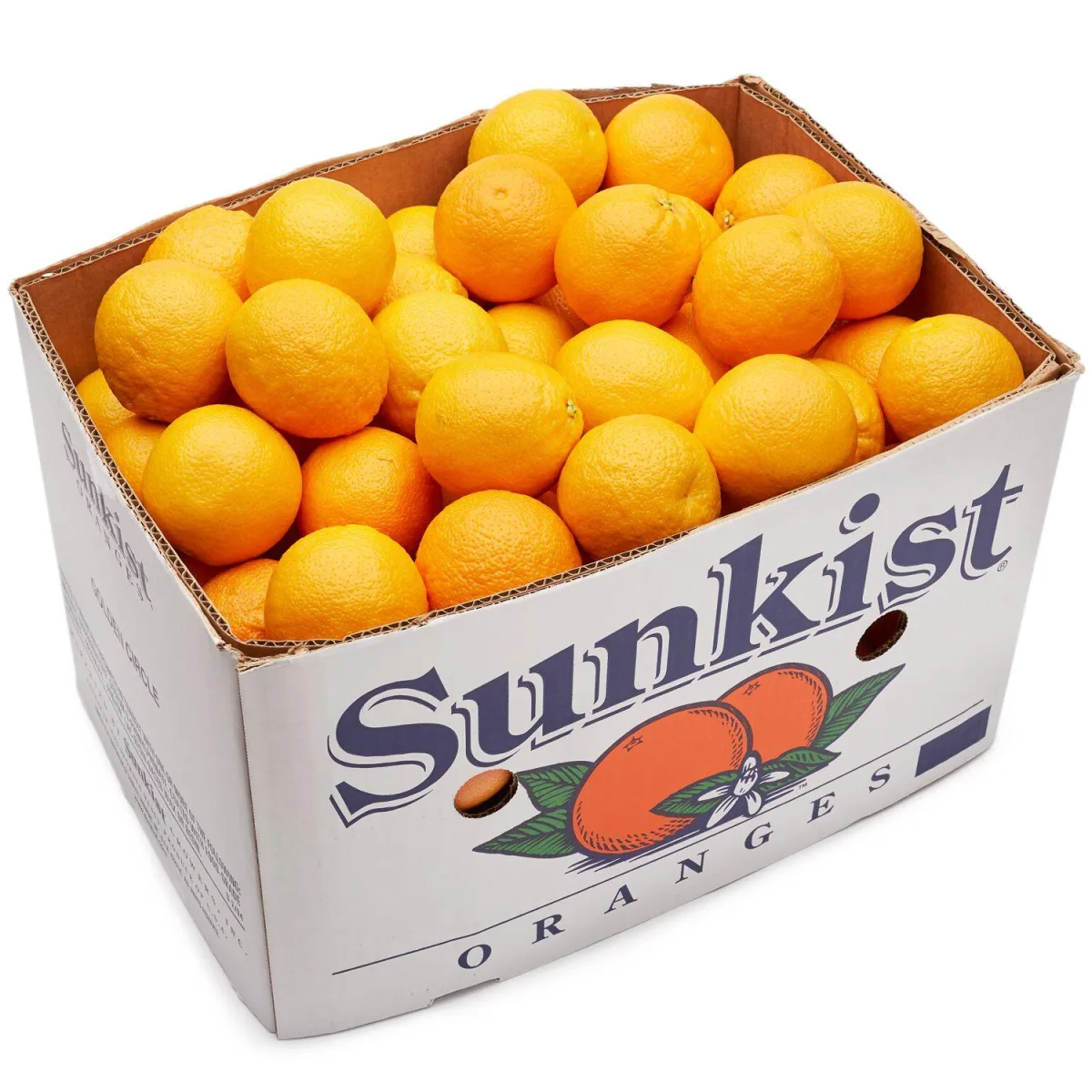 Navel Orange
