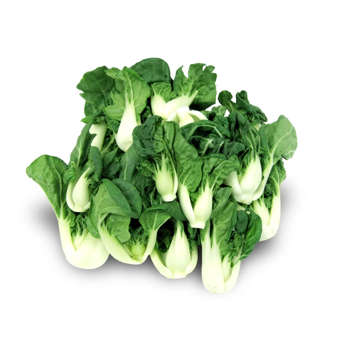 新鮮奶油白菜苗