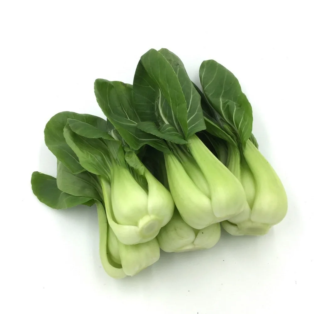 新鲜上海苗（封口红标）