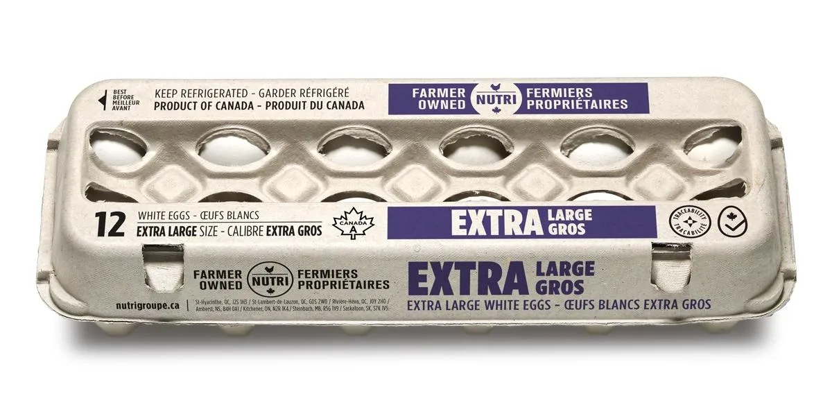 white-eggs-l-12pcs