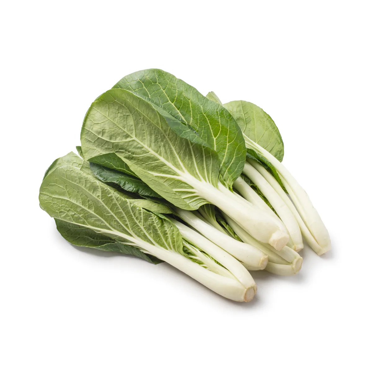 陳太白菜苗