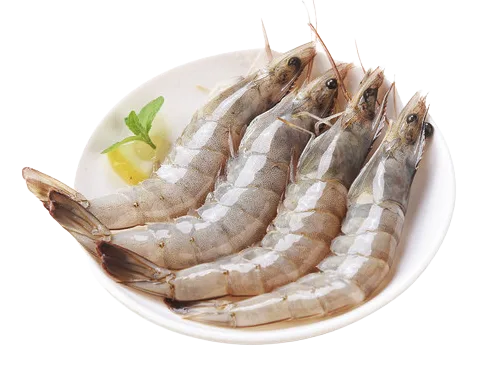 ecuador-frozen-fresh-white-shrimp-20-30