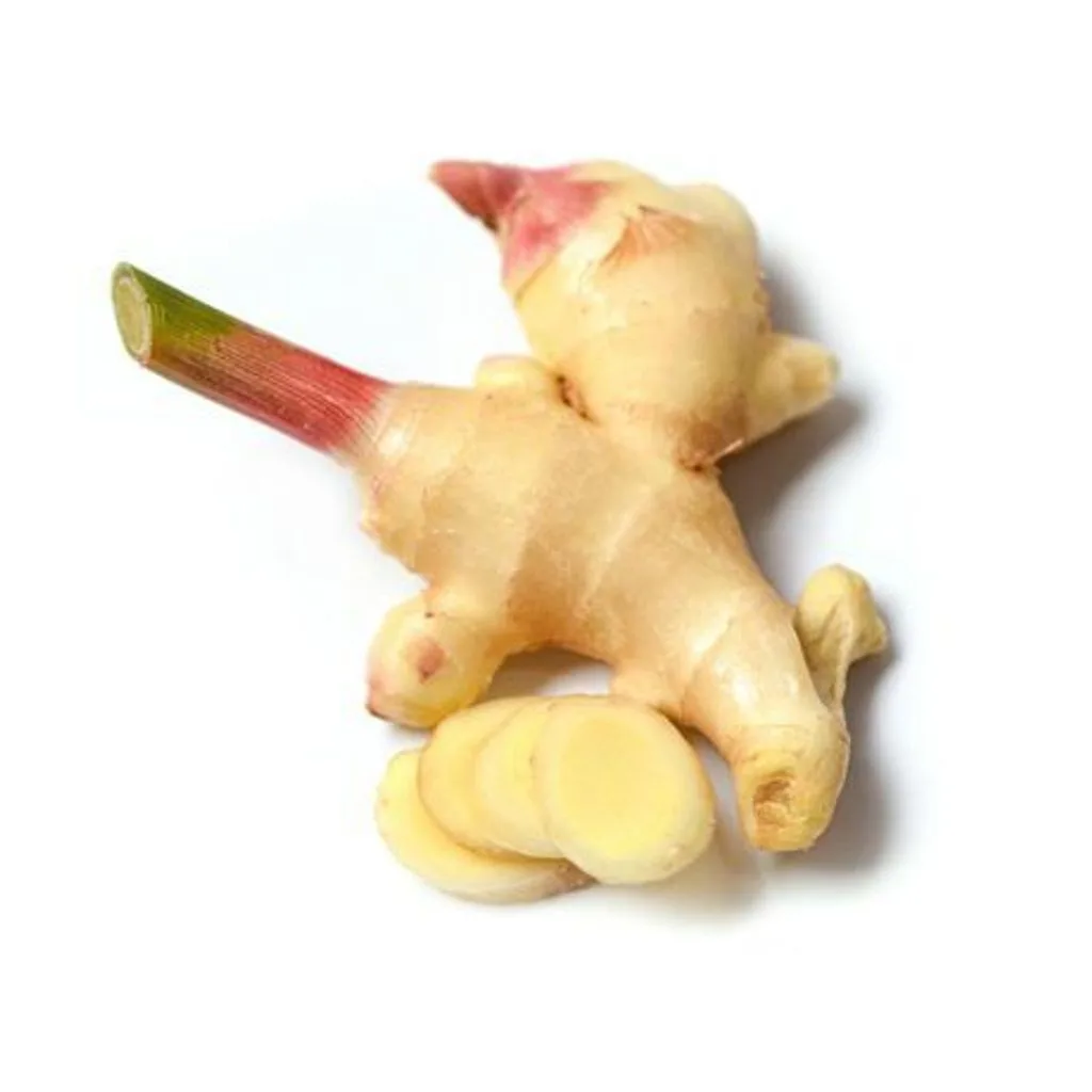 Young Ginger