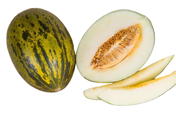 hami-green-melon