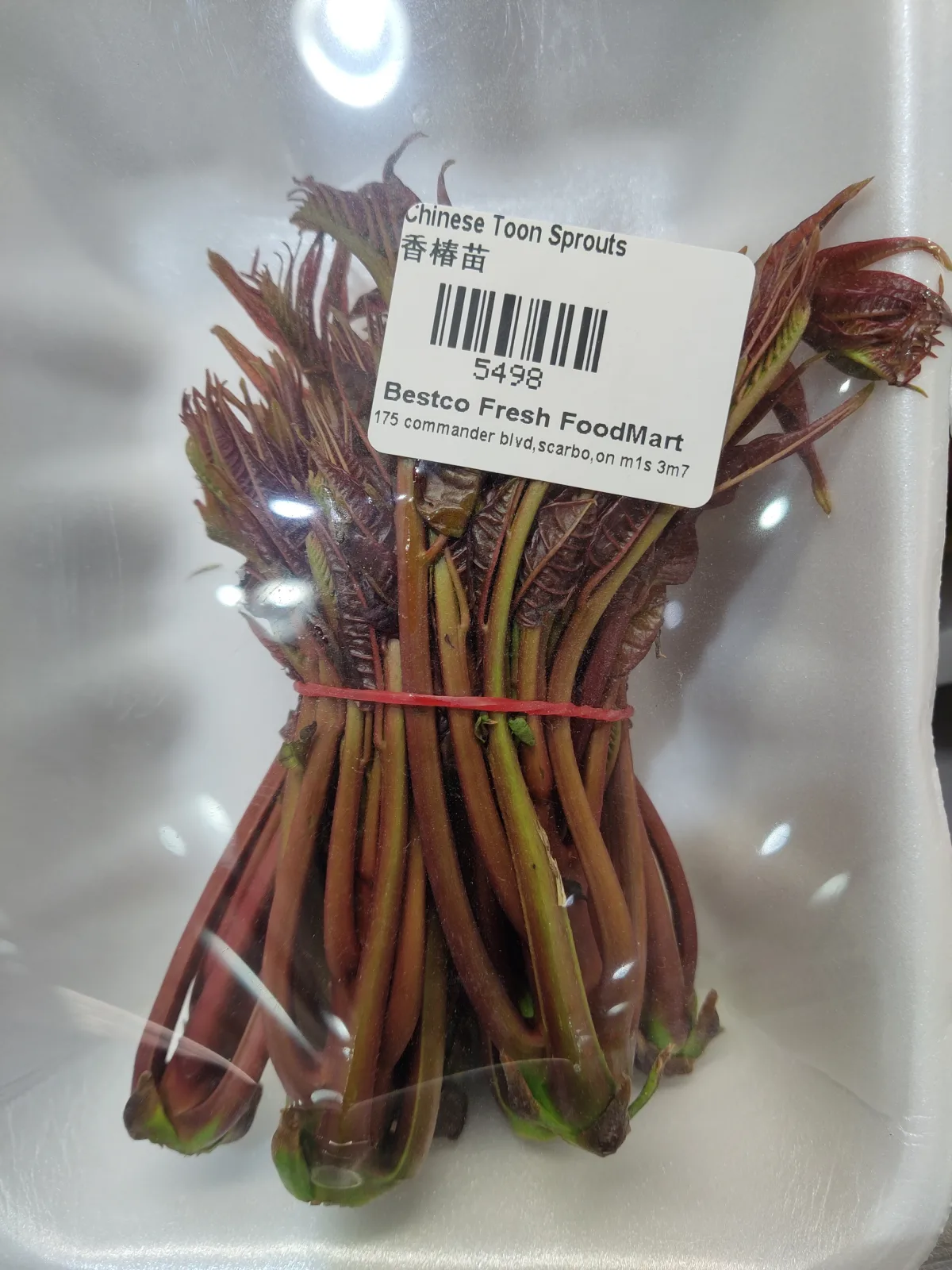 香椿（數量有限，售完即止）