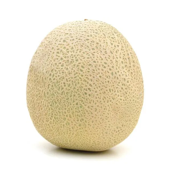 粗皮蜜瓜