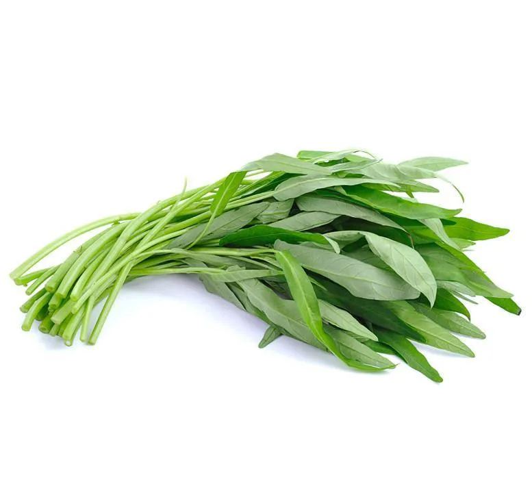 fresh ton Choy (green)