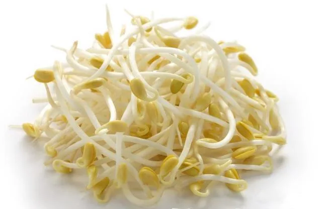 新鮮 大黃豆芽 (袋裝)