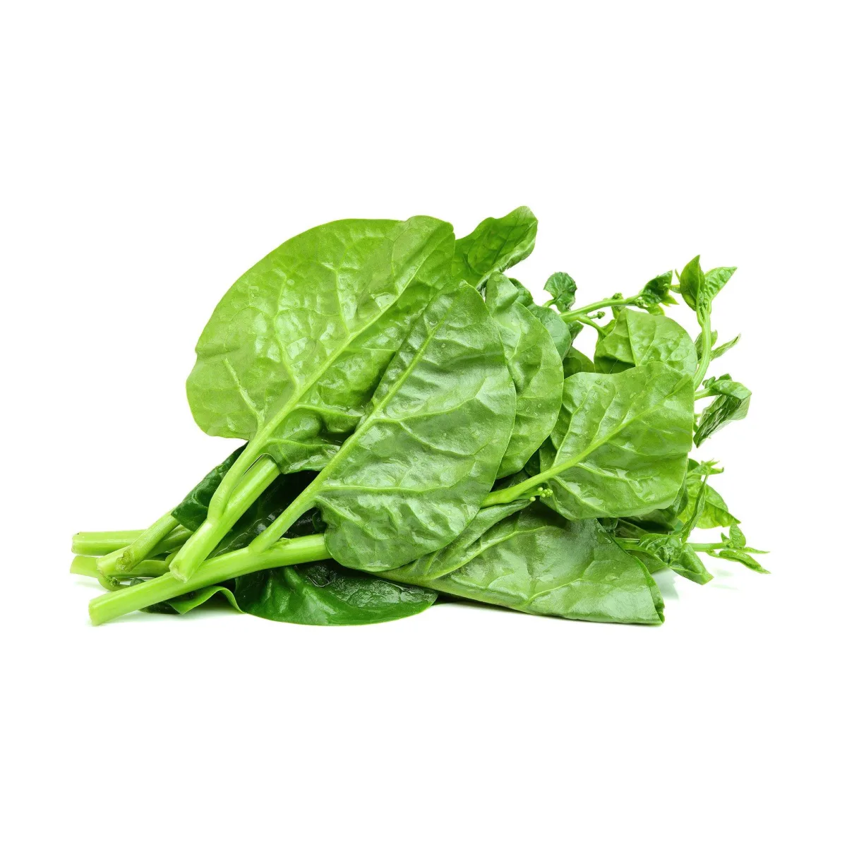 新鮮潺菜 (袋裝)
