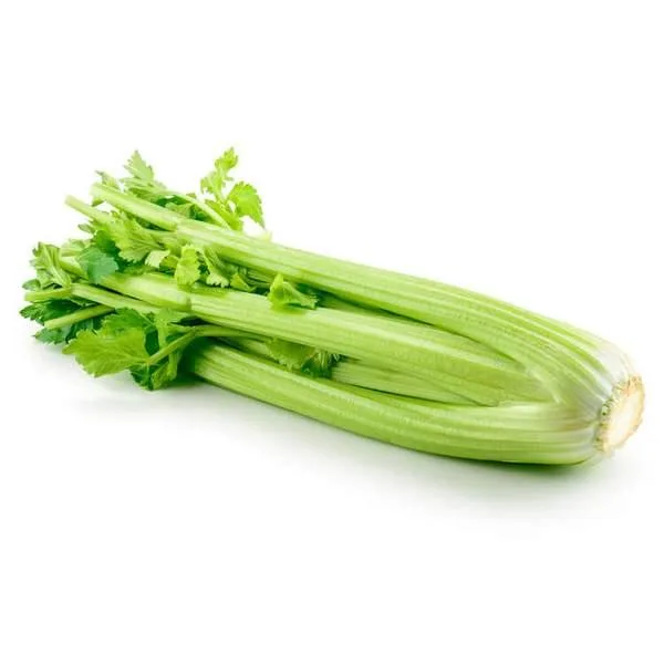 西芹 (扎裝)