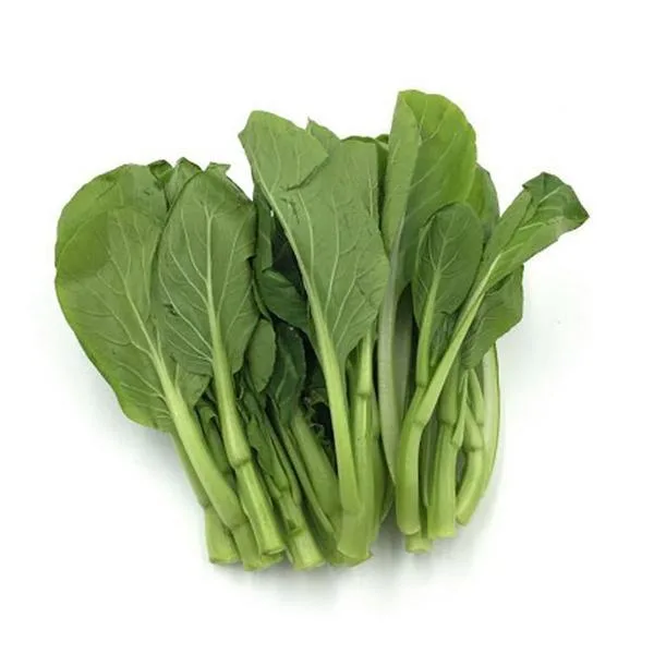 新鲜油菜苗 (袋装)