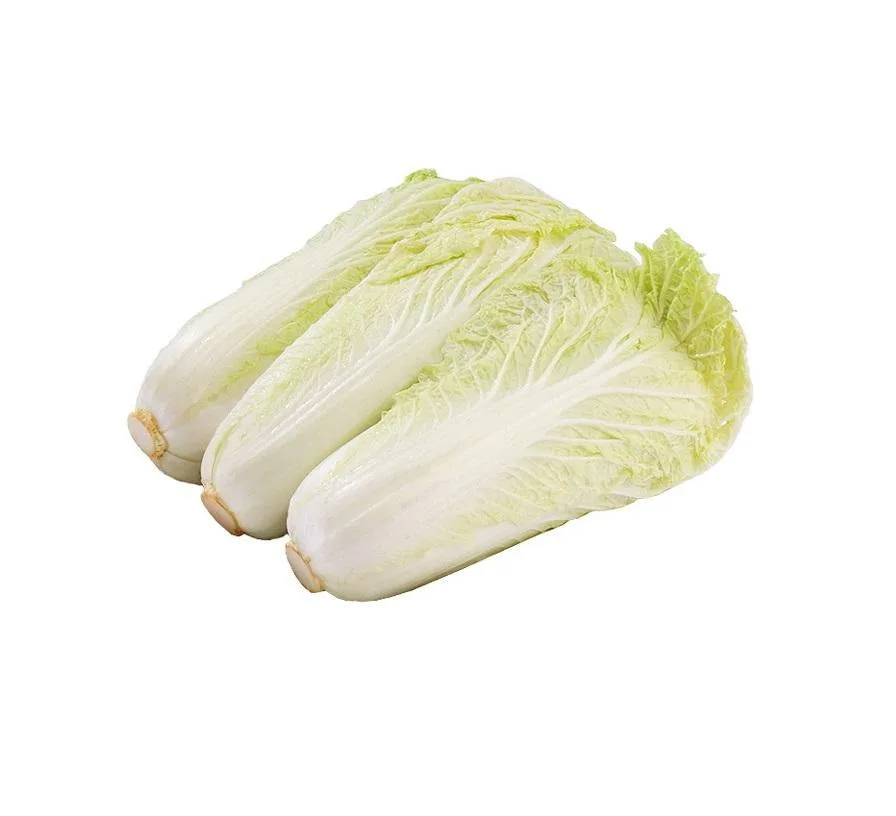 娃娃菜