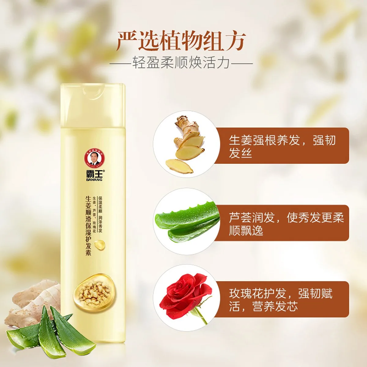 ginger nutrition conditioner