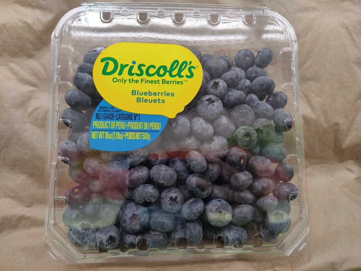 Driscoll's 新鲜蓝莓