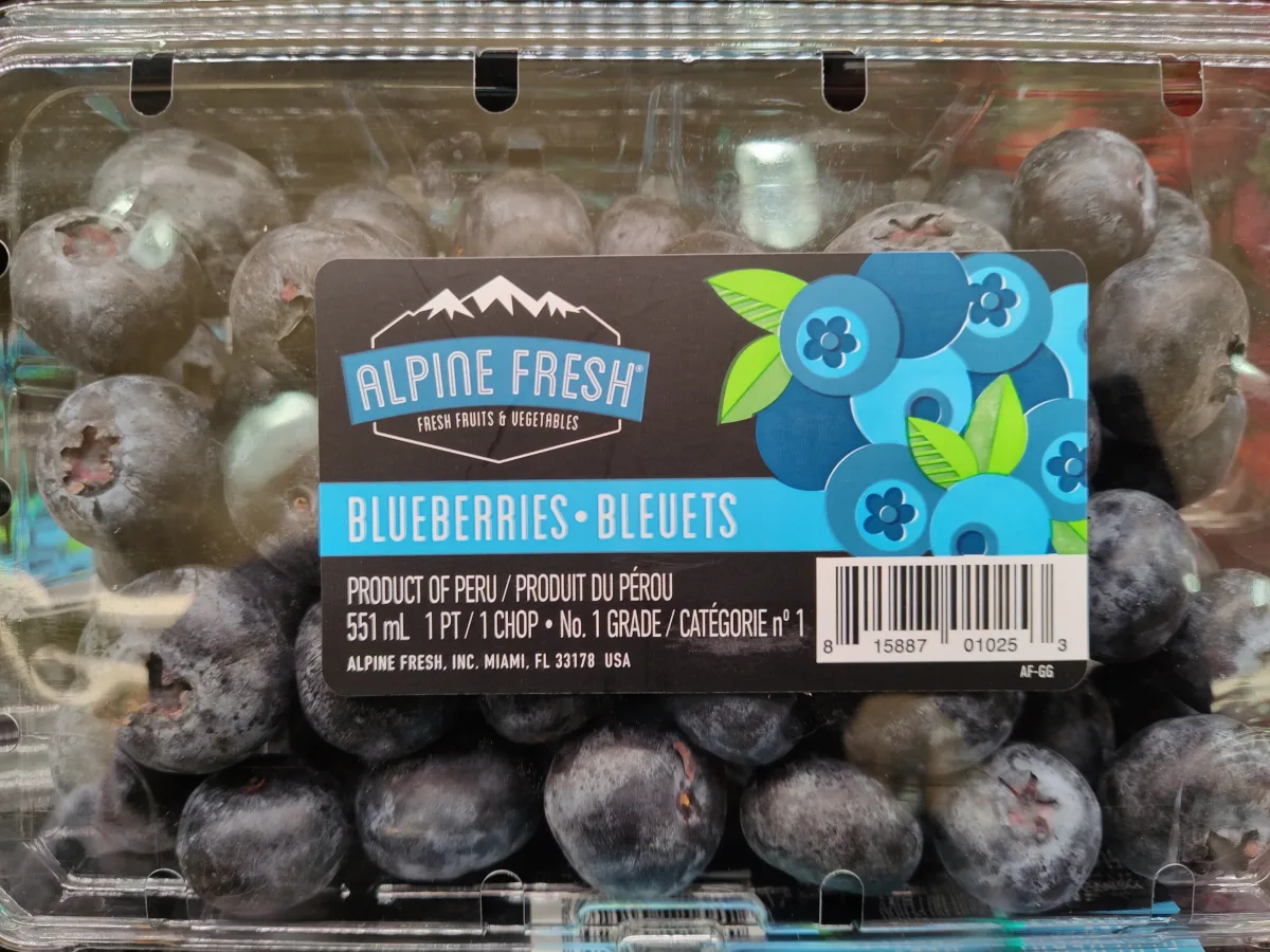 Alpine fresh Blueberries
