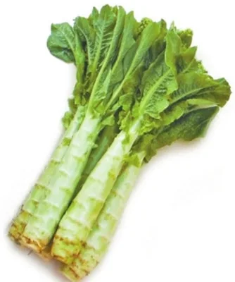 新鮮萵筍/萵苣 (帶綠色葉子)