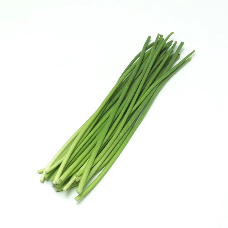 Fresh Garlic Sprout