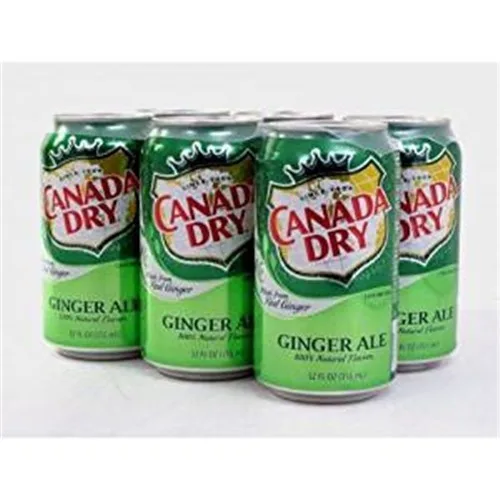 Canada Dry 姜汁汽水『迷你6罐装』