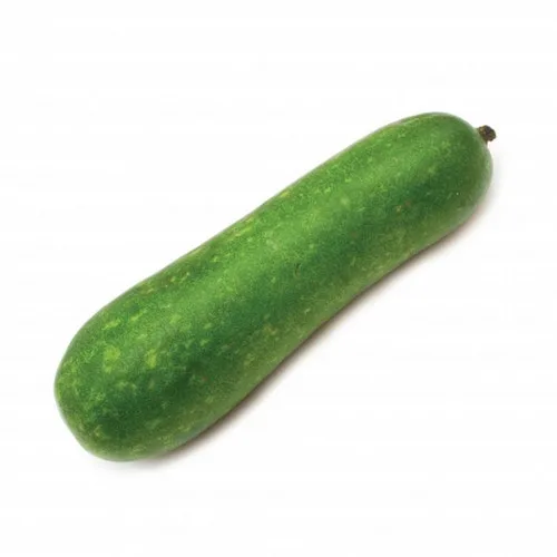 fuzzy-squashfuzzy-melon