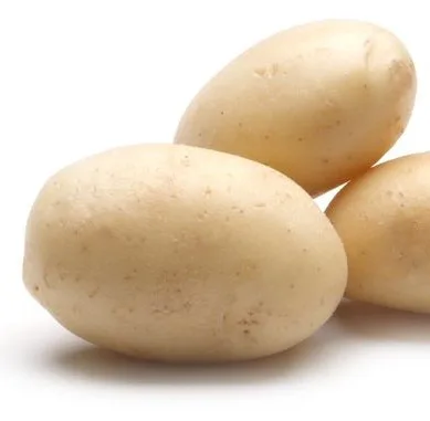 白馬鈴薯/White Potato